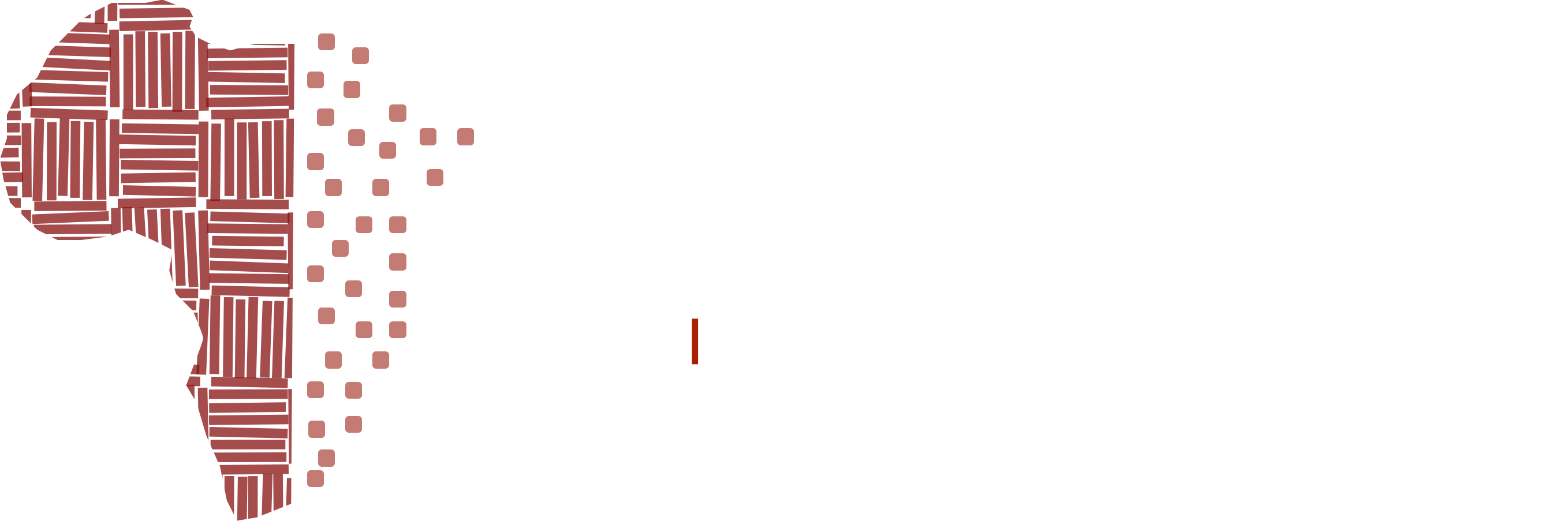 The Digital Afrikan